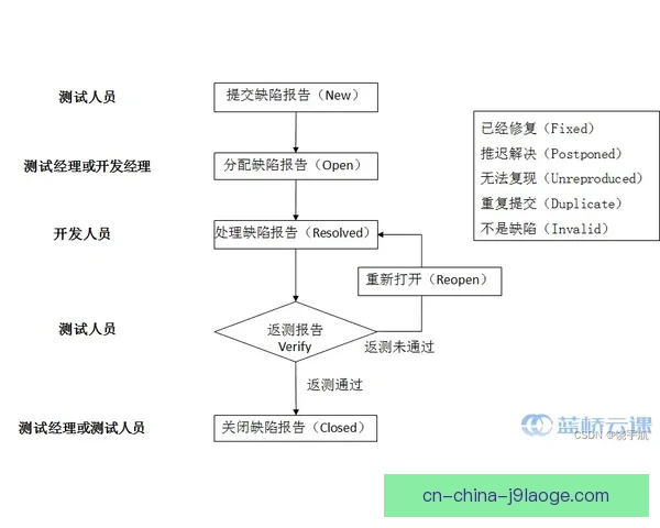 欧联杯参赛全流程解析从报名步骤到晋级秘诀新手必读实战指南
